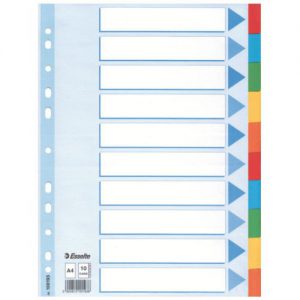 Esselte Karton-Register, blanko, A4, 10-teilig, mehrfarbig